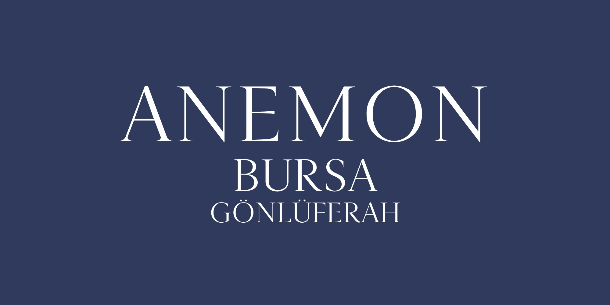 Anemon Otel Bursa Gönlüferah